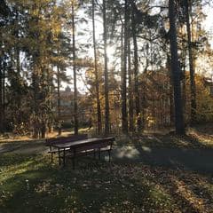 Sorgen får mig att ramla ner i en grop