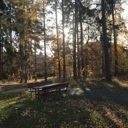 Sorgen får mig att ramla ner i en grop